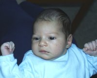 gal05.jpg (3495 bytes)